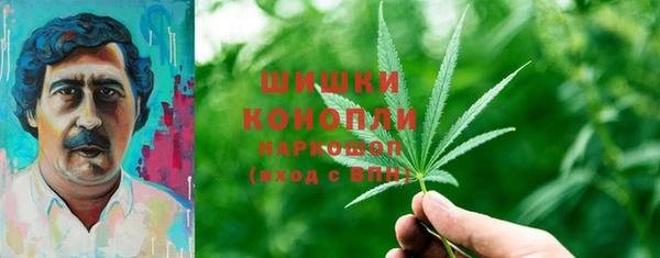 спиды Новозыбков