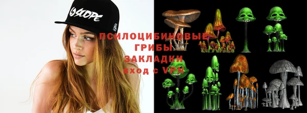 ешки Сосновоборск