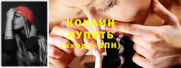 сатива Каменка