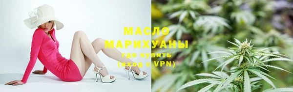тгк Новодвинск