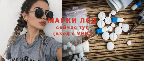 mdpv Каменногорск