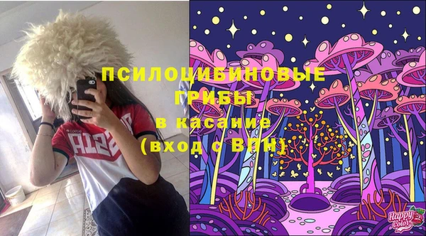 бошки Вяземский
