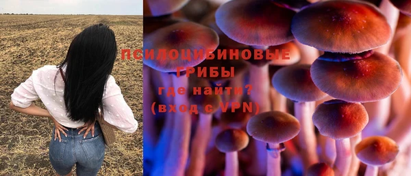Альфа ПВП Новокубанск