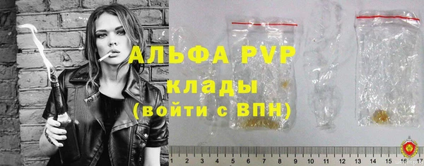 спиды Новозыбков